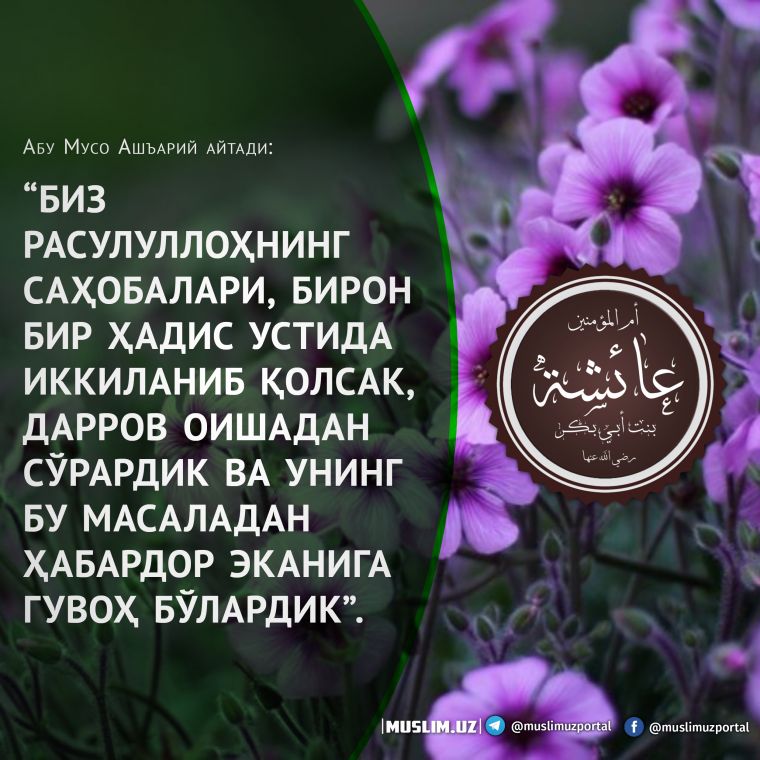Мўминаларга ибрат мўминалар: “Эй Оиша, Жаброил сенга салом келтирди”