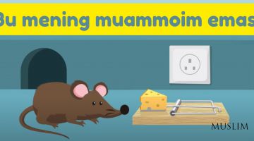 Bu mening muammoim emas!