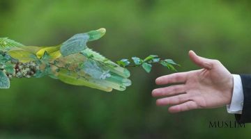 Атроф-муҳитни ҳимоя қилиш давлат сиёсатининг устувор йўналиши сифатида қаралмоқда