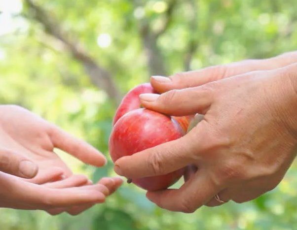 Щедрость в исламе и нейронауке: почему дарить — выгодно для мозга и души