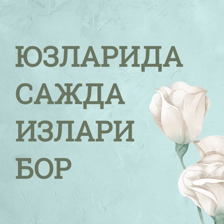 ЮЗЛАРИДА САЖДА ИЗЛАРИ БОР