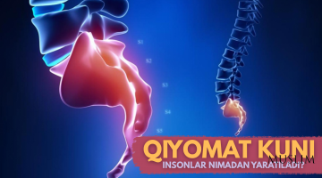 Qiyomat kuni insonlar nimadan yaratiladi?