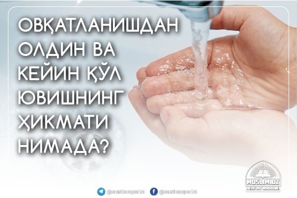 Ovqatlanishdan oldin va keyin qo‘l yuvishning hikmati nimada?
