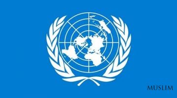 ООН – 80 лет.  80 интересных фактов...