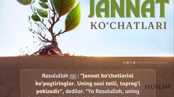 Жаннатнинг кўчатлари