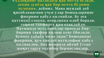 Шайх Салоҳ Абулҳож ҳафизаҳуллоҳ: Бир-бирини такфир қилиш кенг ёйилишига сабаб... (инфографика)