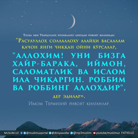 Hairy Wildly Finished ni onlayn tomosha qiling