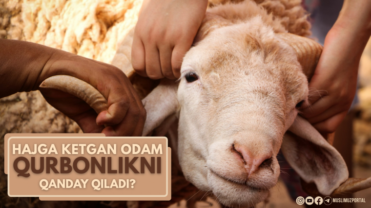 Hajga ketgan odam qurbonlikni qanday qiladi?