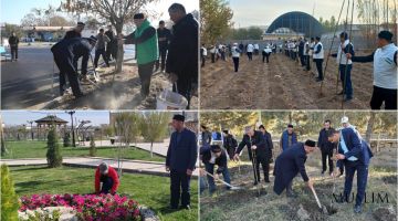 33,000 Saplings Planted Around Mosques
