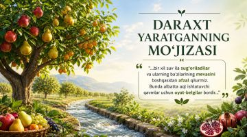 Daraxt yaratganning mo‘jizasi
