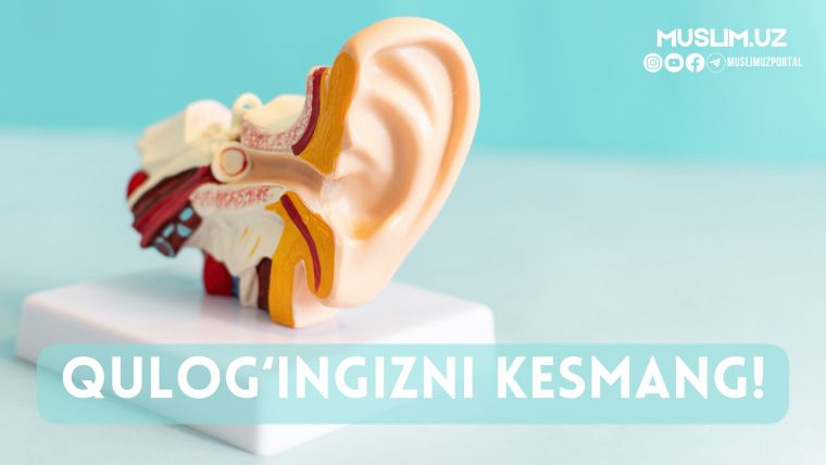 Қулоғингизни кесманг!