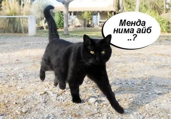 Erkak bilan jinsiy aloqada bolgan qizlar Kerri Kammings porno