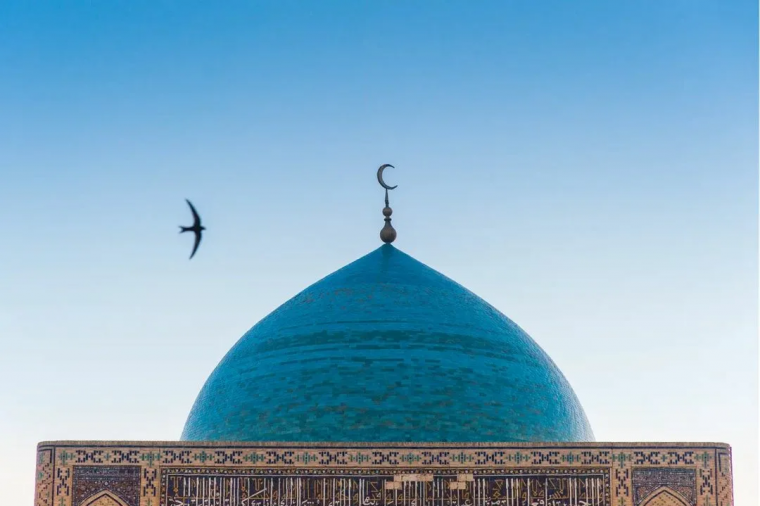 تتم قبول المقالات للمؤتمر الدولي