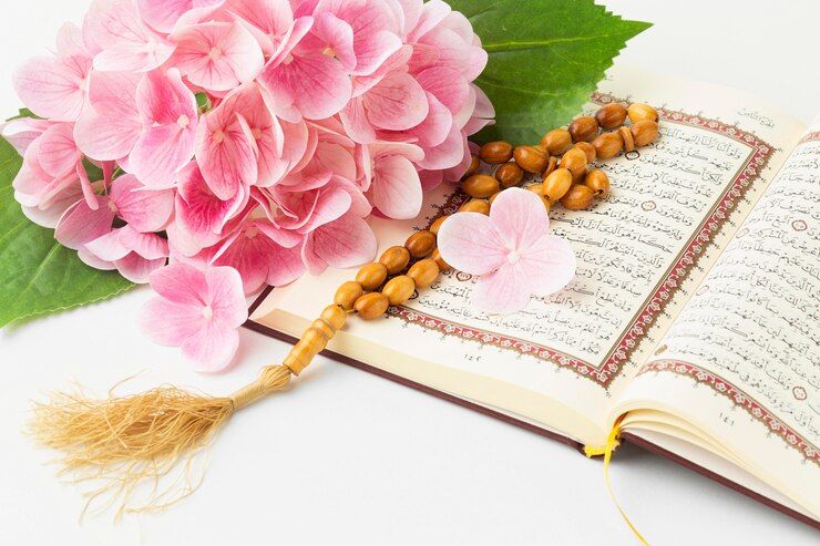 Hovlida bir ayol sikilgan