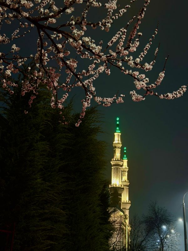 Рамазоннинг ғанимат дамлари ва зикрнинг фазилати (фотолавҳа)