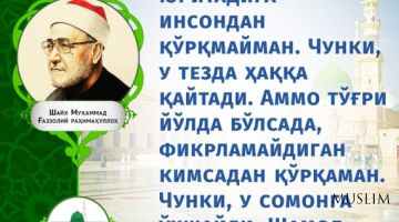 Шайх Муҳаммад Ғаззолий роҳимаҳуллоҳ: Тўғри йўлда бўлсада, фикрламайдиган кимсадан қўрқаман! (инфографика)
