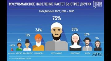 Мусульмане занимают первое место по темпам прироста населения в мире — Pew Research Center