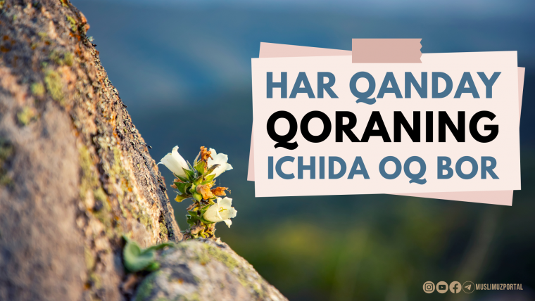 Har qanday qoraning ichida oq bor