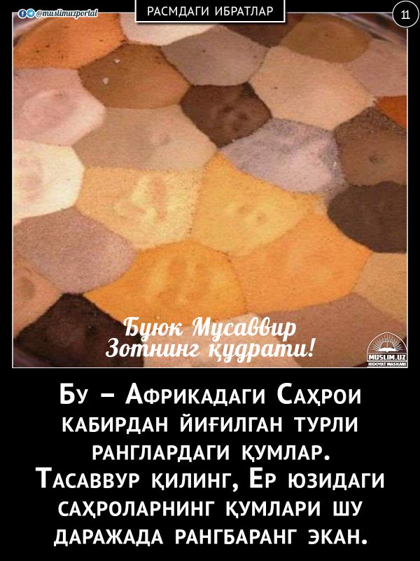 Буюк Мусаввир Зотнинг қудрати!