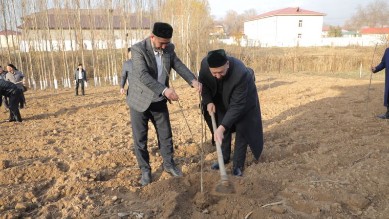 Yangiyo‘ldagi masjid hovlisiga 100 tup mevali daraxt ko‘chati ekildi