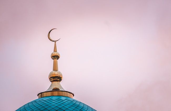 Halimlik fazilat, qo'pollik ayb