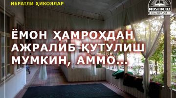 Ибратли ҳикоялар: Ҳовли олма, қўшни ол