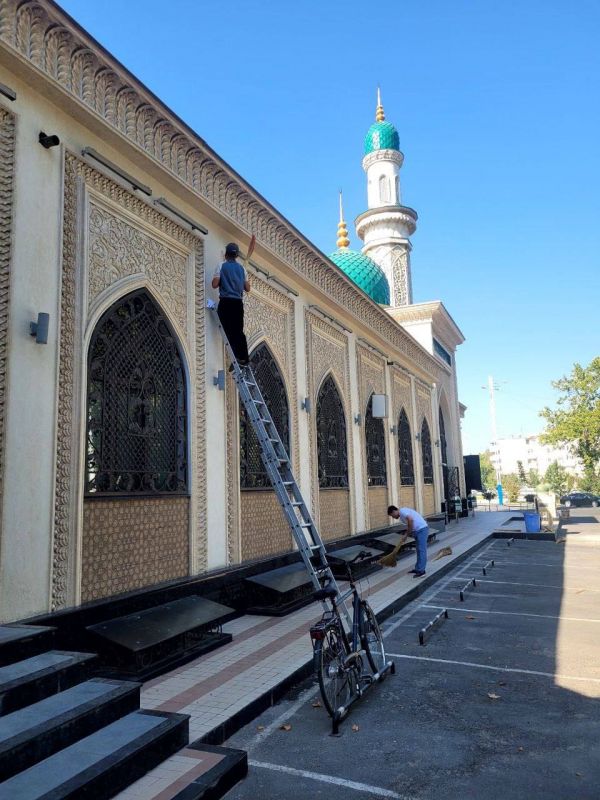 تناسب المعاونة الخيرية إلى البلد المزدهر