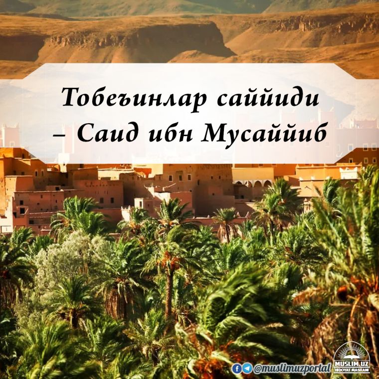 Tobe’inlar sayyidi – Said ibn Musayyib