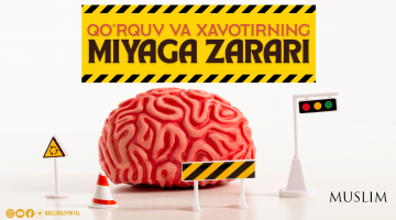 Қўрқув ва хавотирнинг мияга зарари
