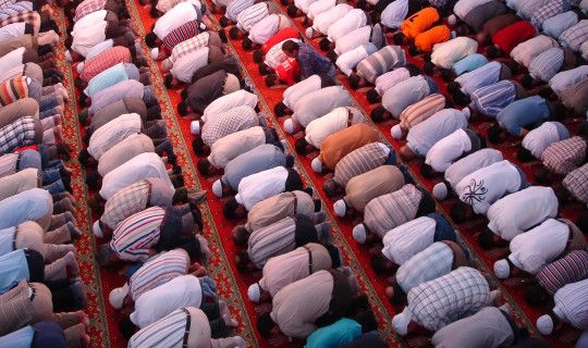Sajda izi