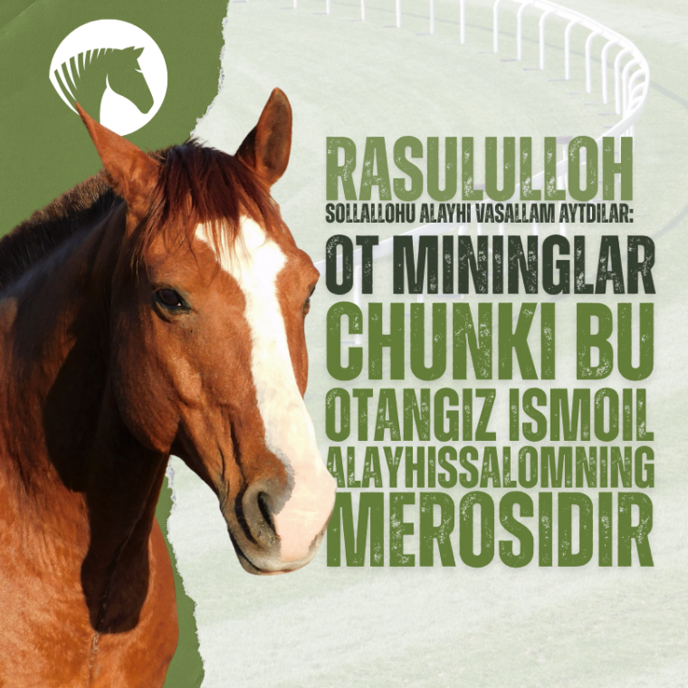 Otda yurish va chavandozlik