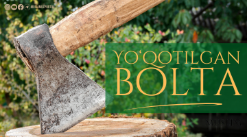 Yo‘qotilgan bolta