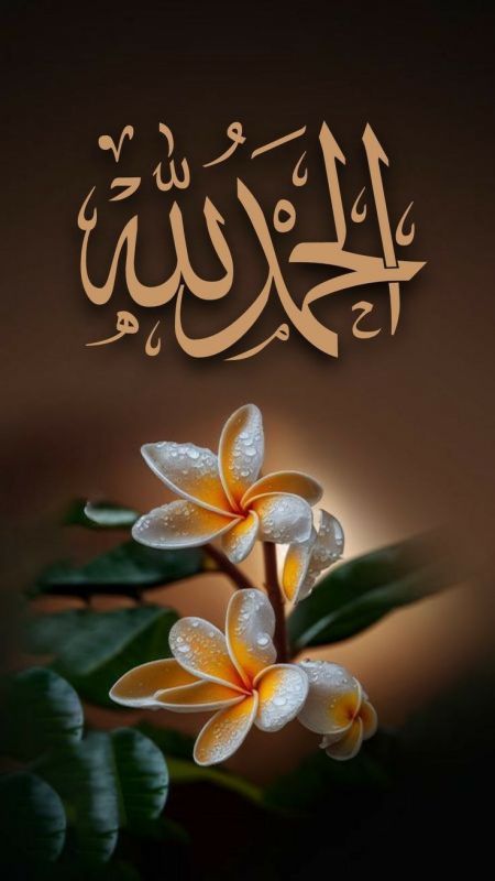 Farishtalar savobini yoza olmagan hamd duosi