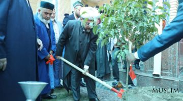 الطبيعة - امانة الله تعالى