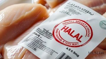 Увеличение экспорта халяльного мяса из России в исламские страны 