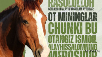 Отда юриш ва чавандозлик