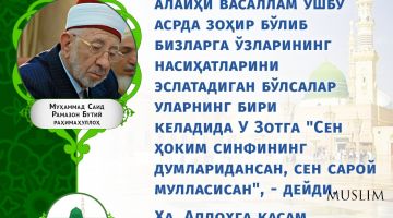 Шайх Рамазон Бутий роҳимаҳуллоҳ: 