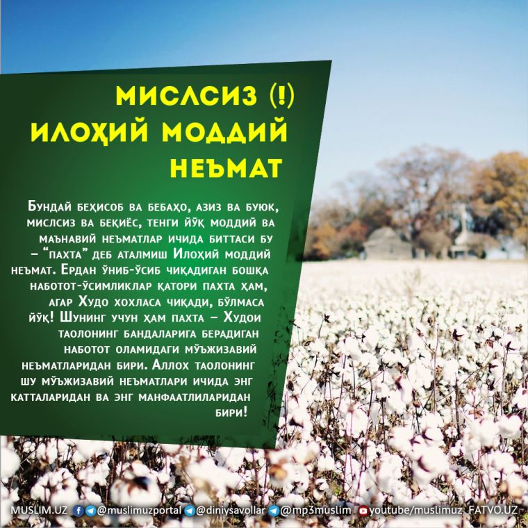 МИСЛСИЗ (!)  ИЛОҲИЙ МОДДИЙ НЕЪМАТ