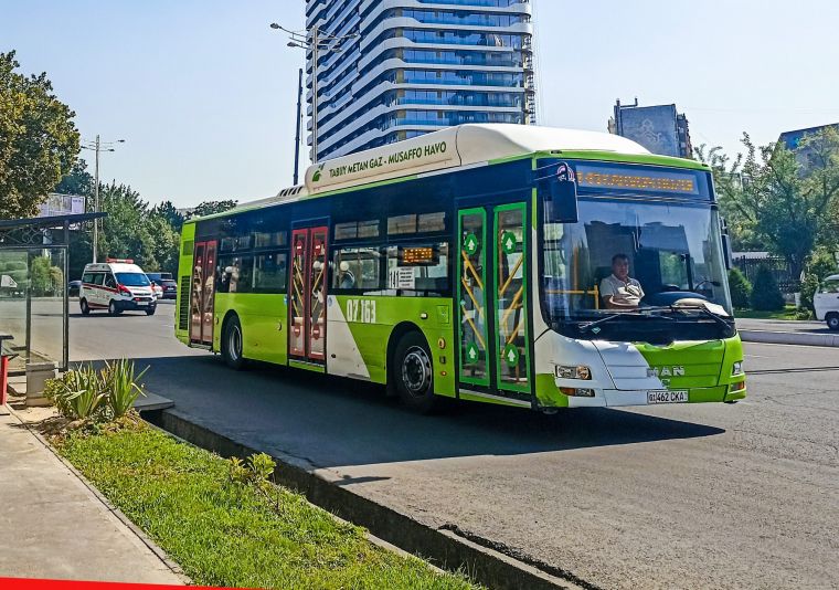 Betgachoparlik – kibrning nishonasi