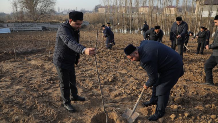 Yangiyo‘ldagi masjid hovlisiga 100 tup mevali daraxt ko‘chati ekildi