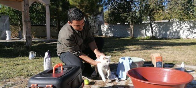 Турецкий имам учит людей милосердию с помощью кошек