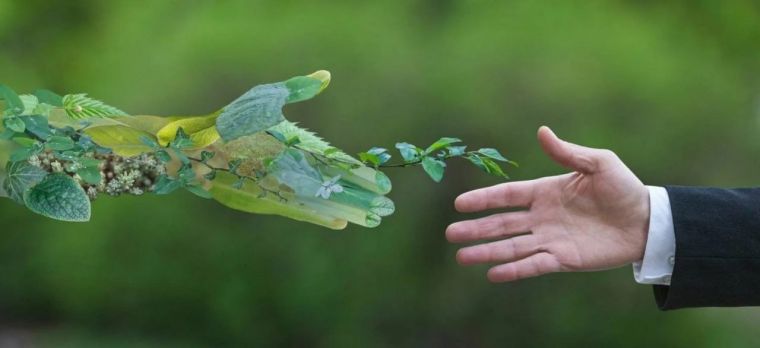 Atrof-muhitni himoya qilish davlat siyosatining ustuvor yo‘nalishi sifatida qaralmoqda