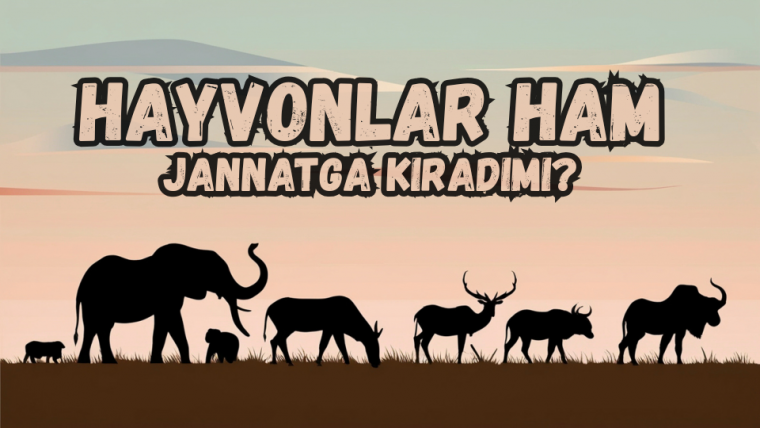 Ҳайвонлар ҳам Жаннатга кирадими?