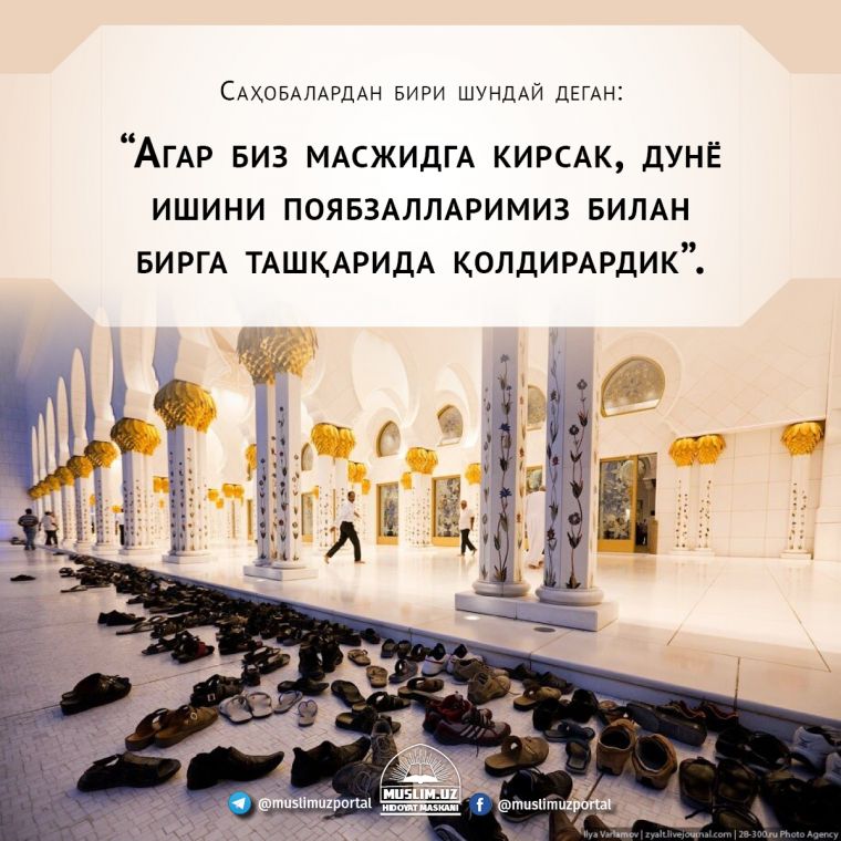 Муҳаммад Мутаваллий Шаъровийнинг ҳикматлари
