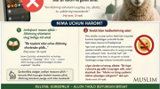 rasm