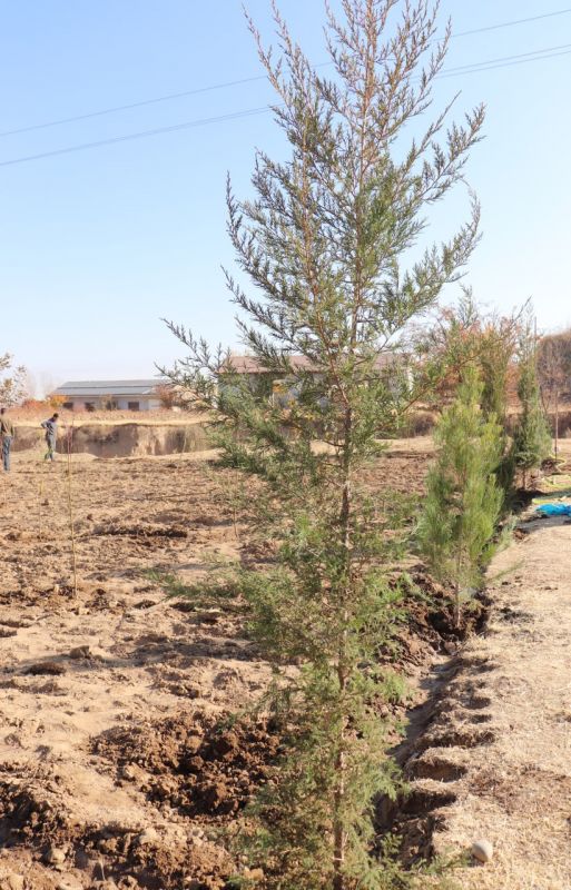 Sayyor yig‘ilishlar doirasida