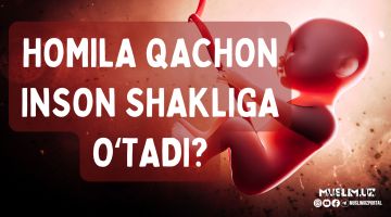 Homila qachon inson shakliga o'tadi?