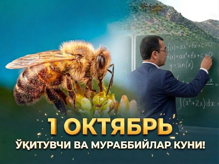 Улар асалари мисолидир