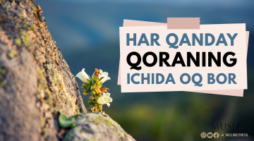 Har qanday qoraning ichida oq bor