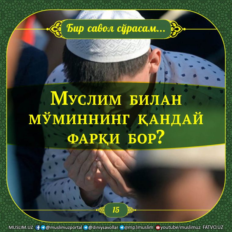 Бир савол сўрасам: Муслим билан мўминнинг қандай фарқи бор?